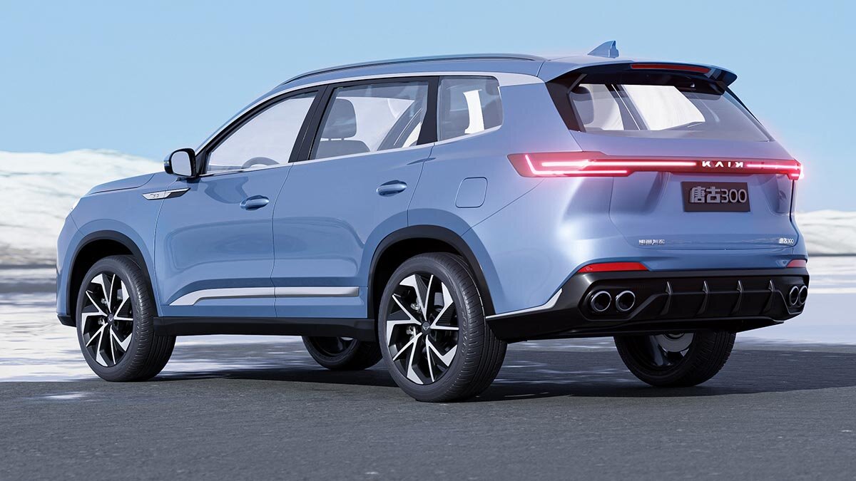     Kaiyi Tanggu Вадим Клепнёв
TangguKaiyi