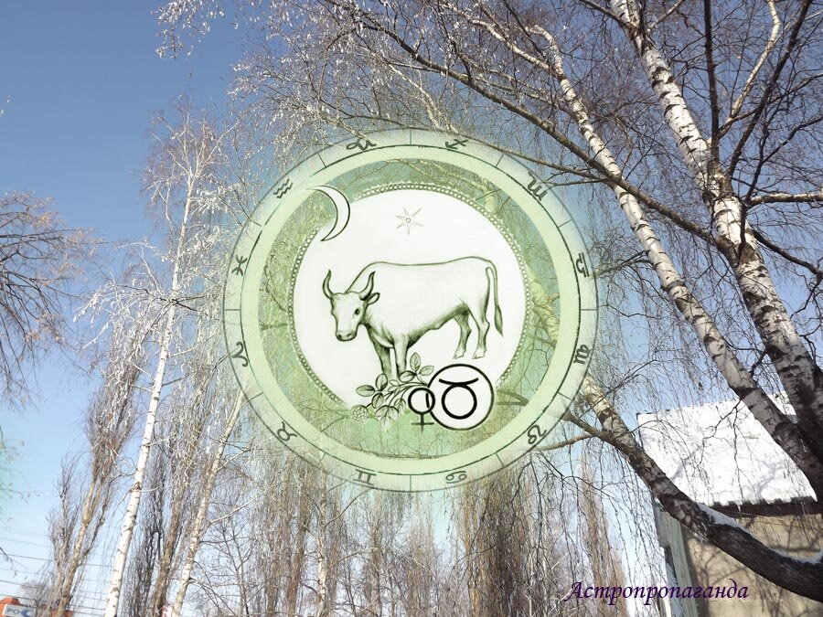 Коллаж Нины Стрелковой. 