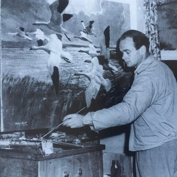 Питер Скотт в студии