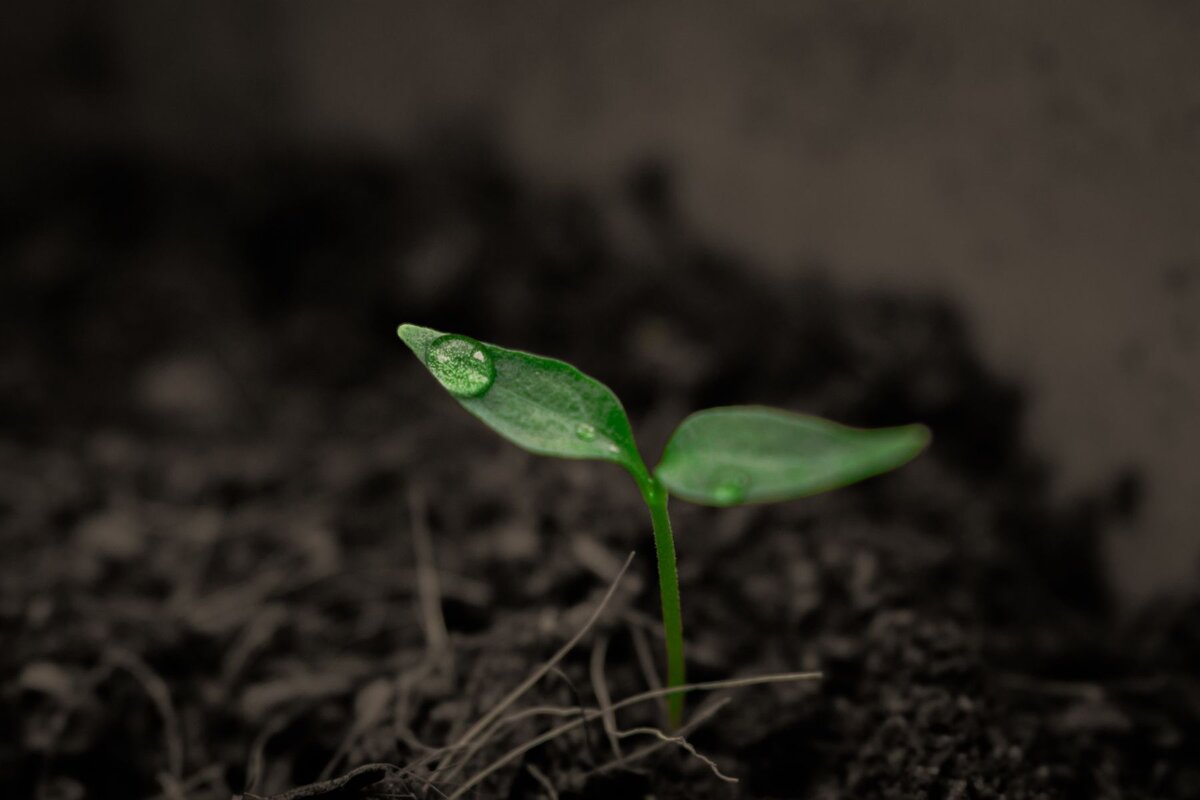 Позитивные надписи. Некоторые уже улеглись на влажную землю. Рыжий кот на счастье. Действияп ри вспыгке ядерного взрыва. Лед на лужах осенью.