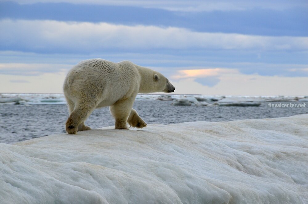 Начнем экскурсию...