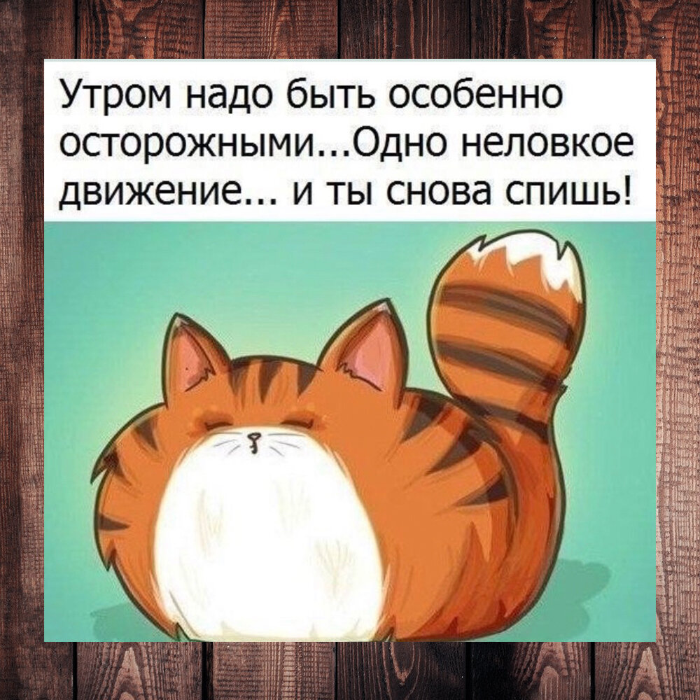 Когда проснулась тогда и утро смешные картинки с надписями