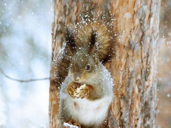     фото: pixabay.com