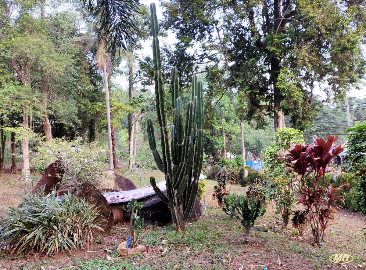 Территория отеля "Fine Times Resort"