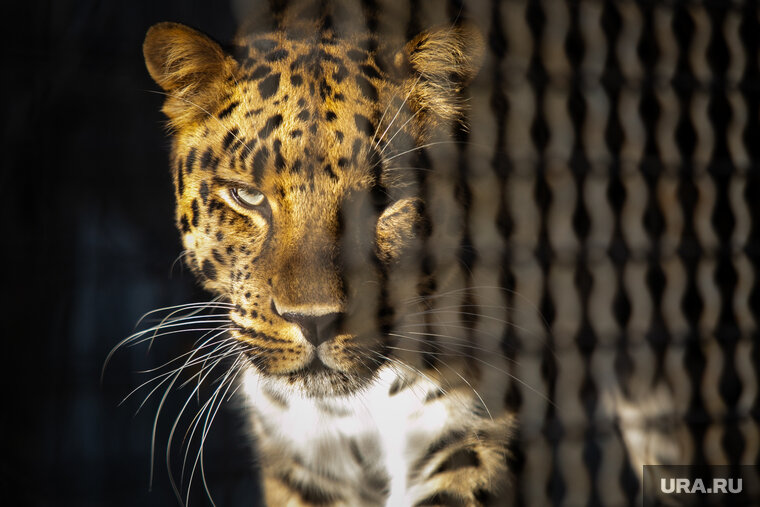    Филиппу было 19 лет