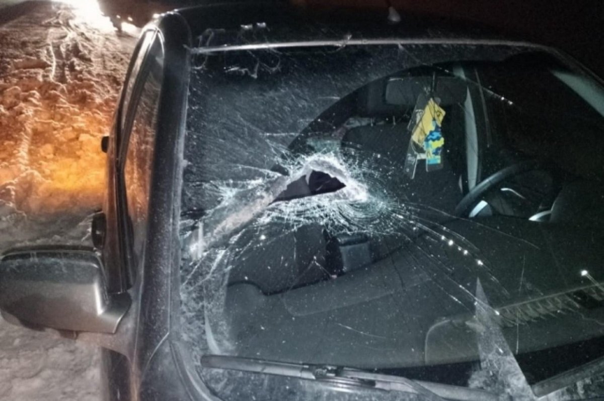    Оренбуржец пострадал от попадания железки в лобовое стекло Datsun на самарской трассе.