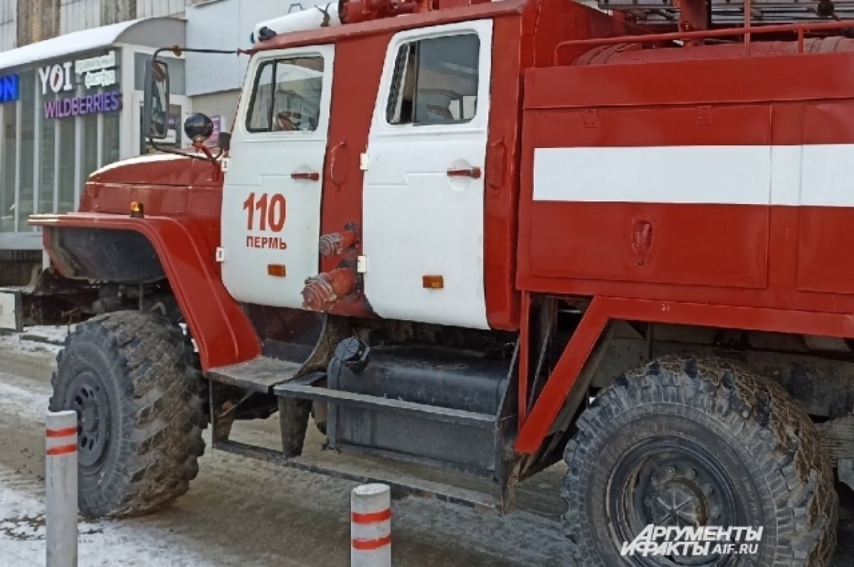 На пожаре в Пермском крае из горящего дома спасли двоих детей | АиФ–Пермь |  Дзен