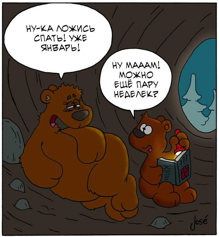 Bear comics. Медведь комикс. Медвежонок комикс. Комиксы медведей про медведей. Три обычных медведя комикс.