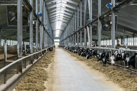 источник Яндекс-картинки для примера того, что у нас рухнуло