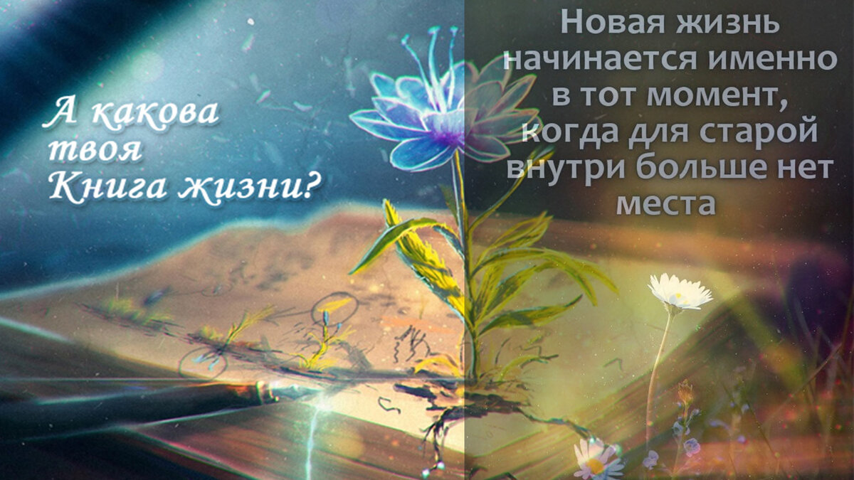 Кто писатель твоей книге Жизни?