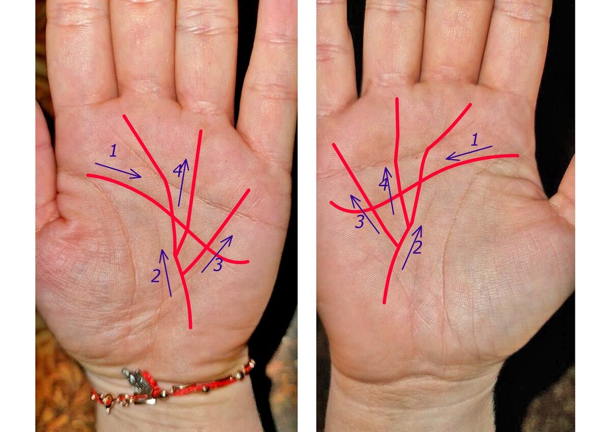 Линия жизни на руке меняется. Коррекционная хиромантия Бориса Акимова. Коррекционная хиромантия денежный треугольник. Кельтская хиромантия. Борис Немцов ладони хиромантия.