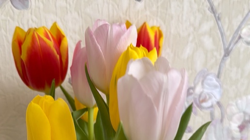 Сороконожка | Ролик от 11.03.2023 продолжительностью 11 сек. | Дзен