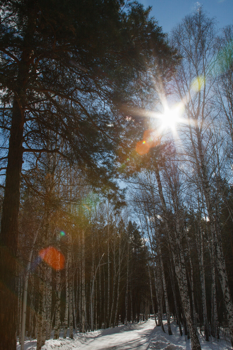 Челябинск. Дорога на "Обкомовские дачи".