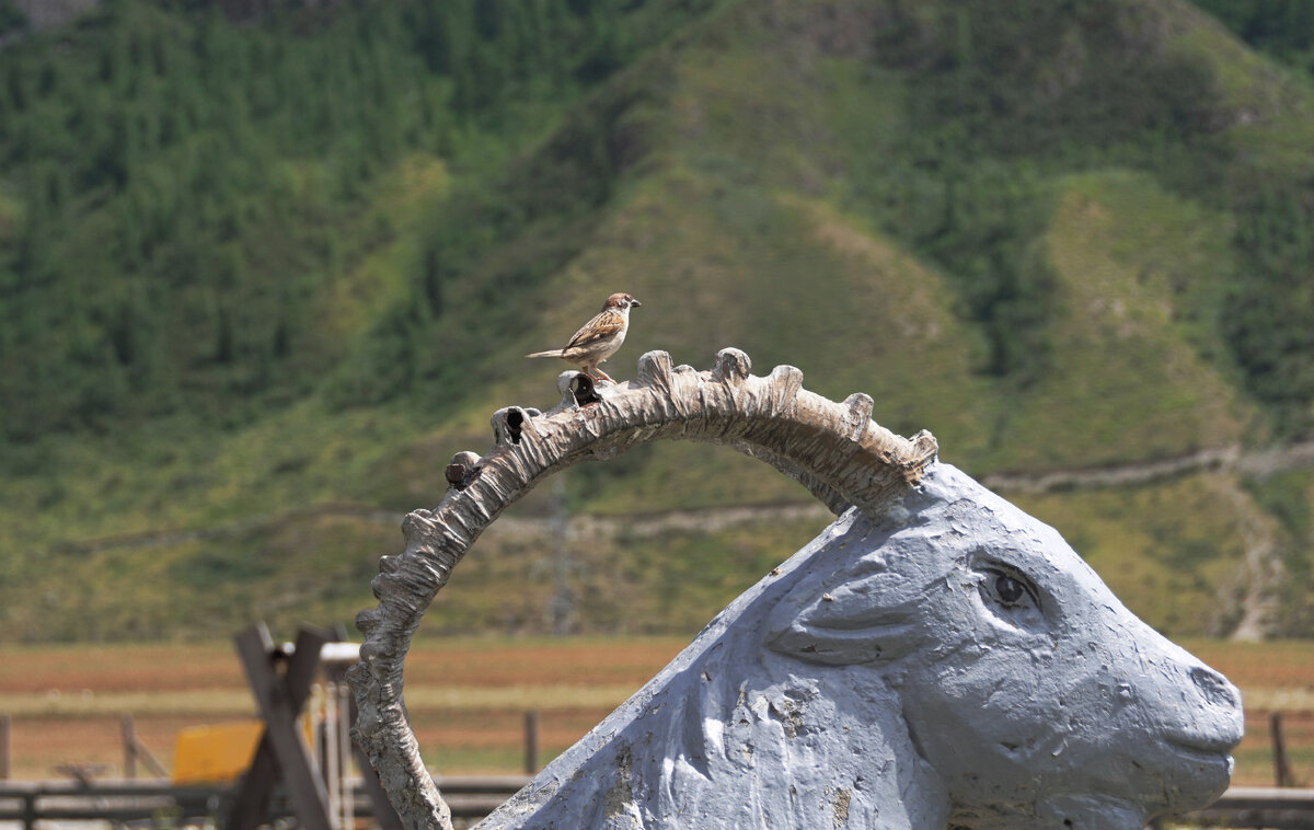 В комплексе "Чуй Оозы".все фото автора