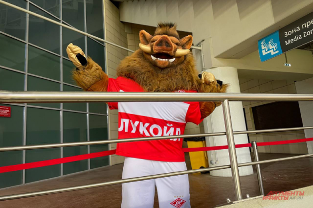    Что такое маскот и как он связан со спортом?