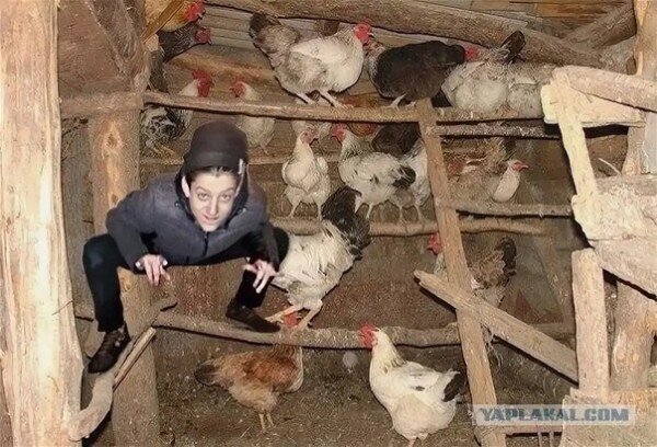 Он то думает, что он крут. Но так ли это на самом деле?