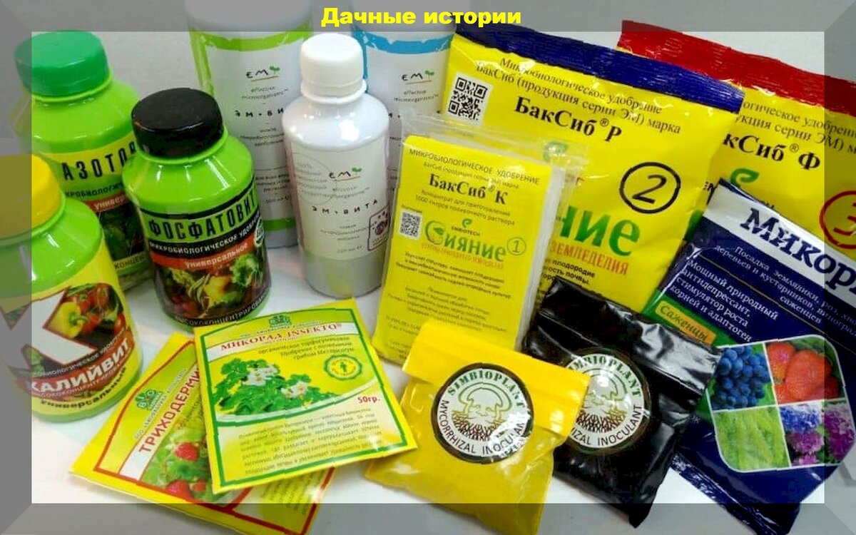 https://vk.com/photo-159774511_457259447