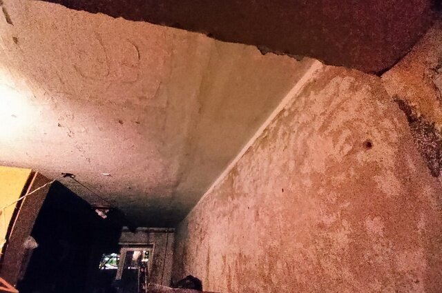    Фото: Предоставлено героем публикации "КП-Томск"