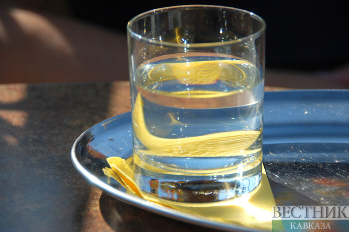 Мария Новоселова/ "Вестник Кавказа"