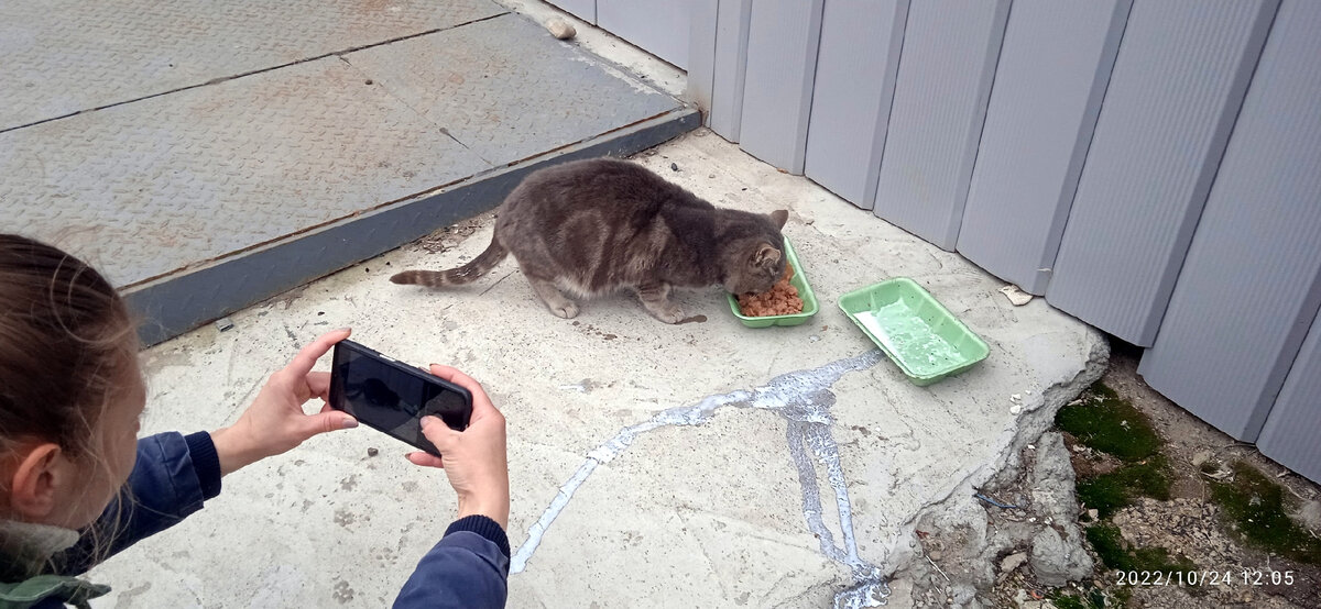 И продолжали усиленно кормить