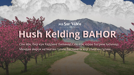 Hush kelding BAHOR