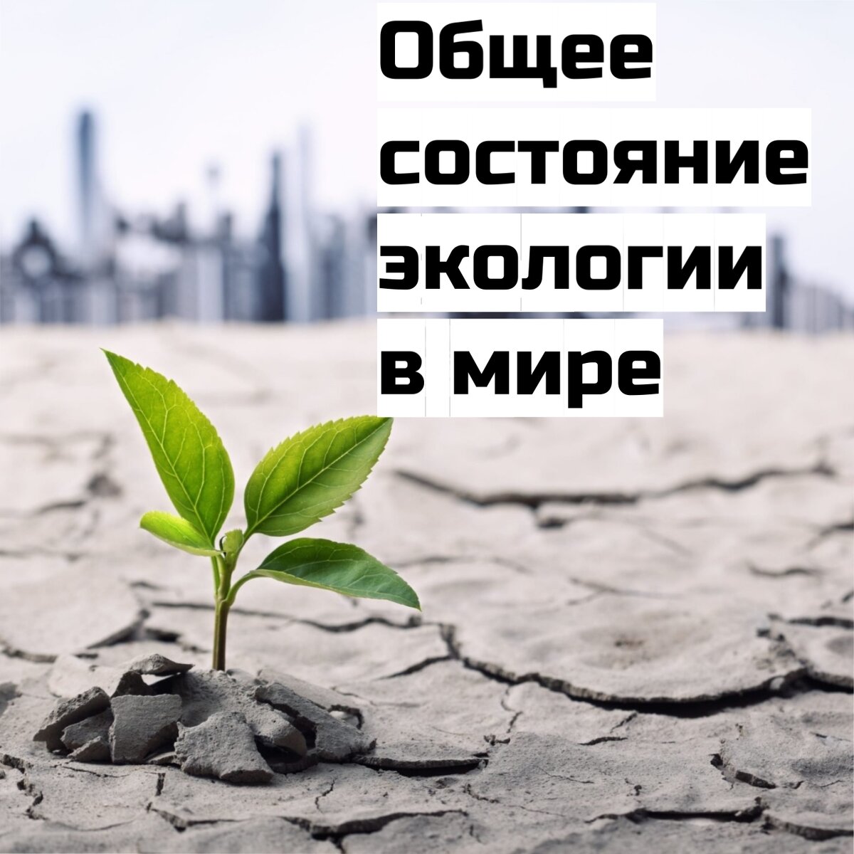 Татьяна Макарова - ООО "Экологическое проектирование"