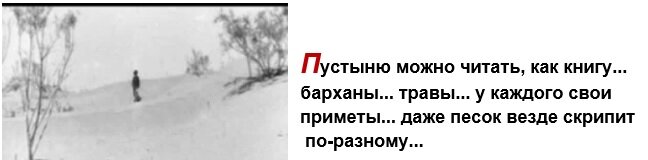 Пустыня…это Божий дар нашему народу... ... Я очень люблю ее... Я объездил много стран, но ничего красивее наших Каракумов не видел.