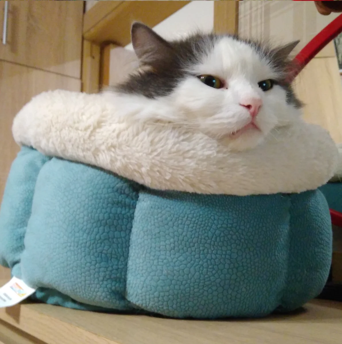 фотография из личного архива