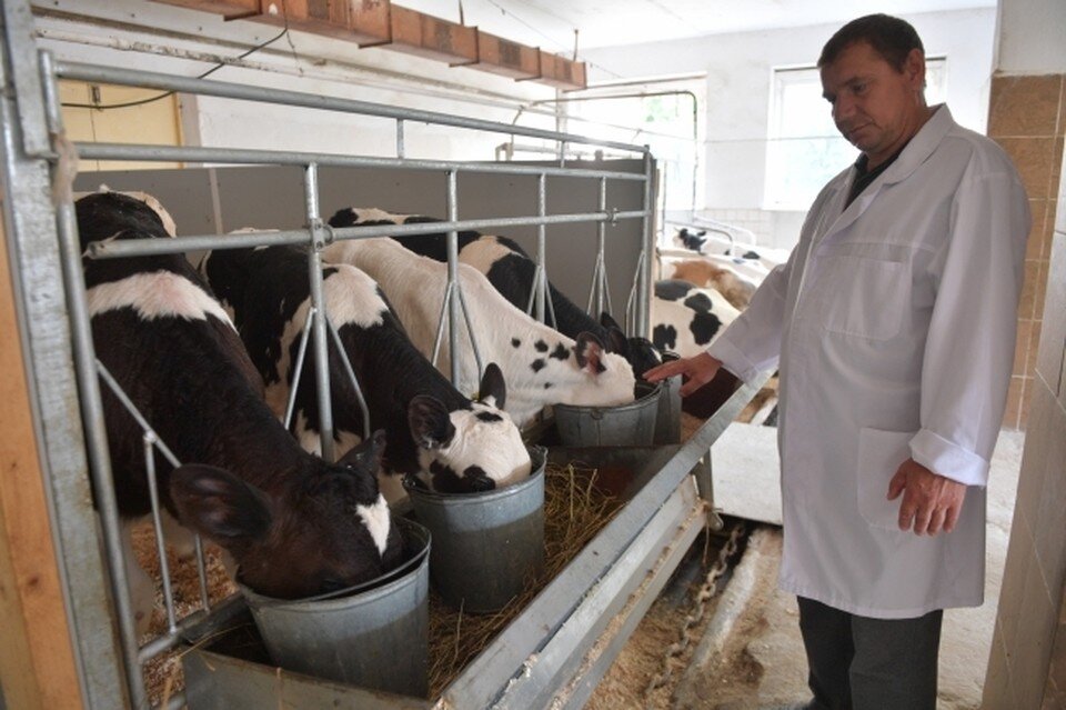     Апрельские семинары посвятят экономике в молочной продукции. Михаил ФРОЛОВ