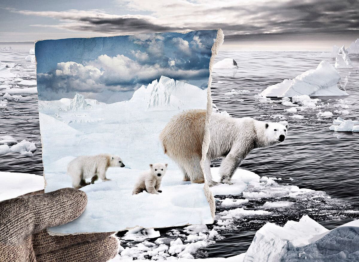В самом начале 2023 года вышел научный доклад о климате с говорящим названием «Это неизбежно».-2