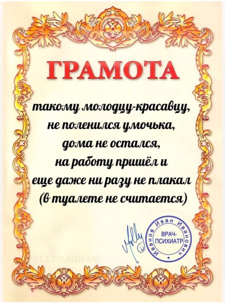 Фото из открытого доступа 