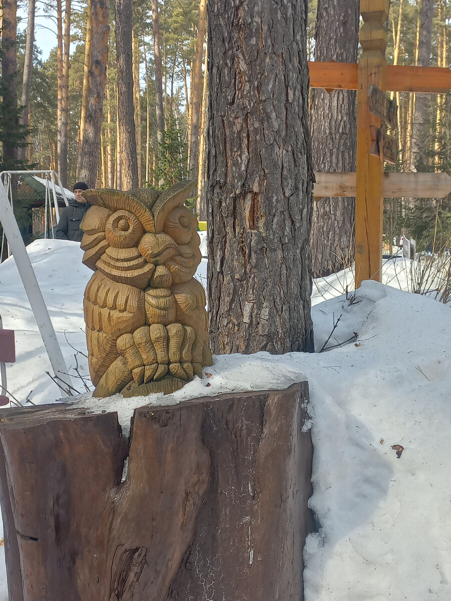 Сова-символ мудрости и знаний.