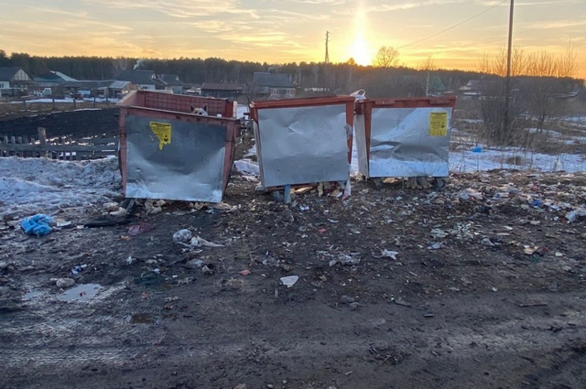    Томичи жалуются на стихийную свалку посреди села