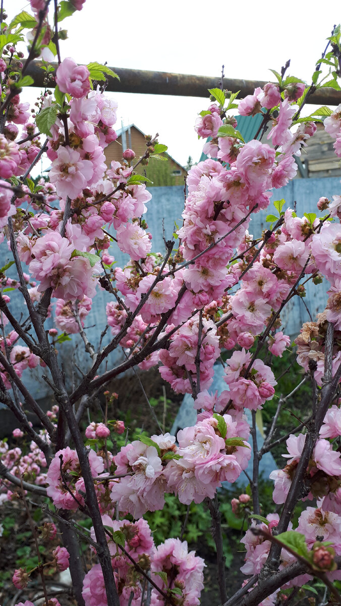 Фото из личного архива