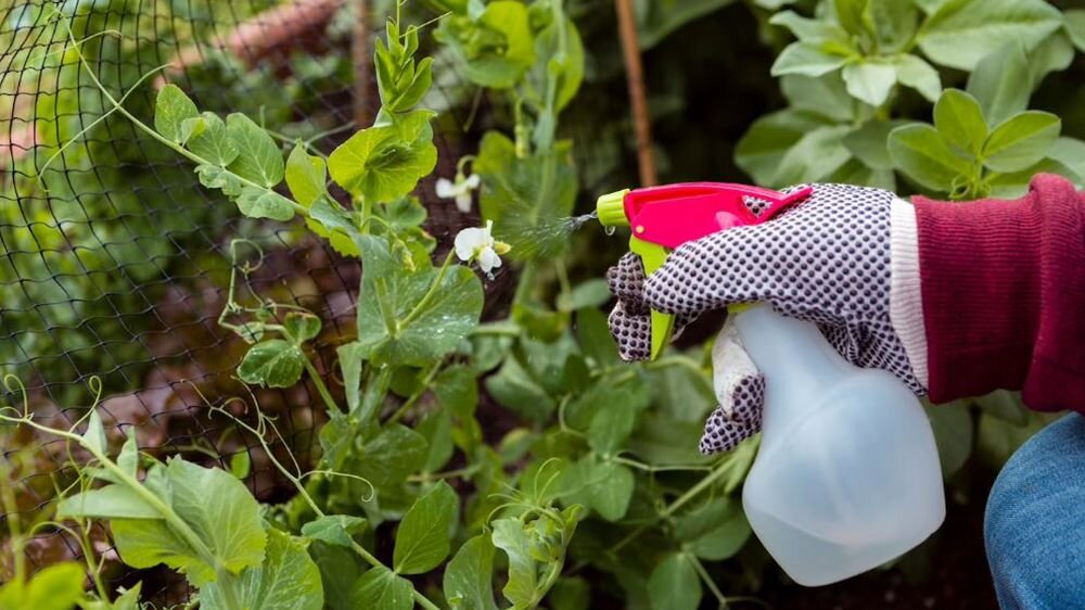    freepik.com | Freepik Company S.L