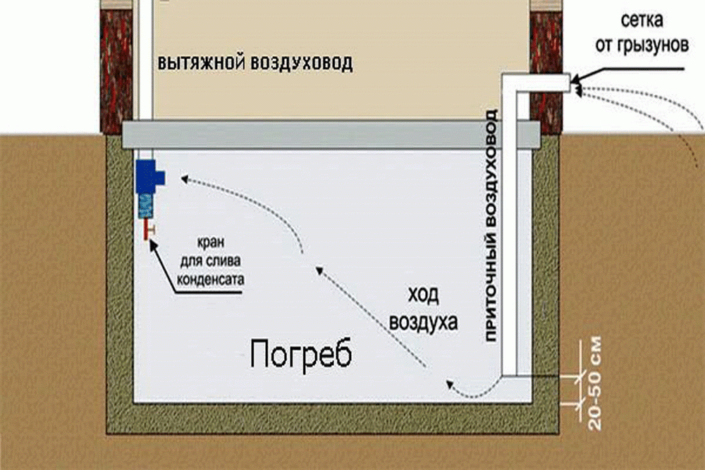 Конденсат в подполе деревянного дома