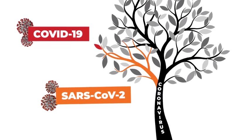 Различия SARS CoV 2  и COVID - 19 