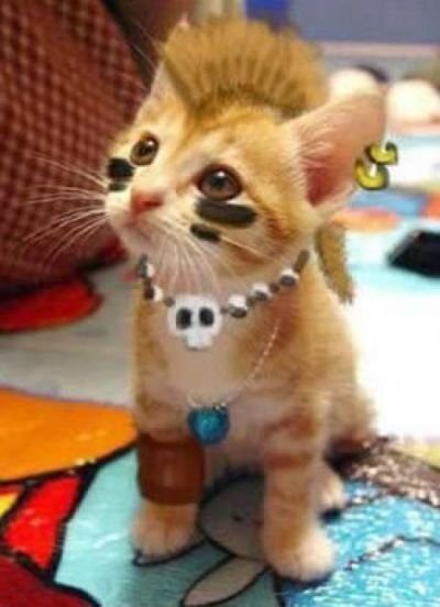 Картинка из интернета