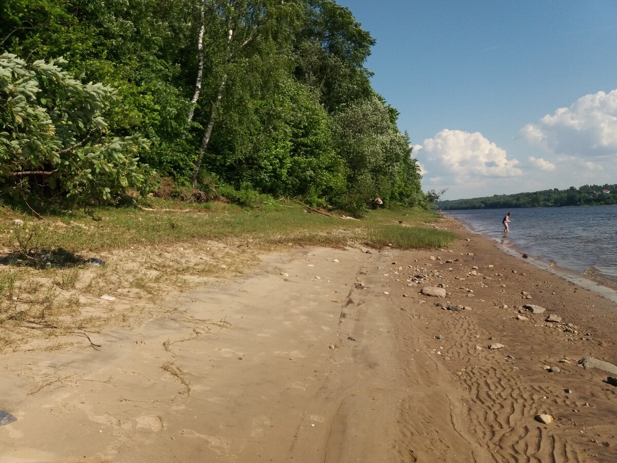 фото берега реки волги