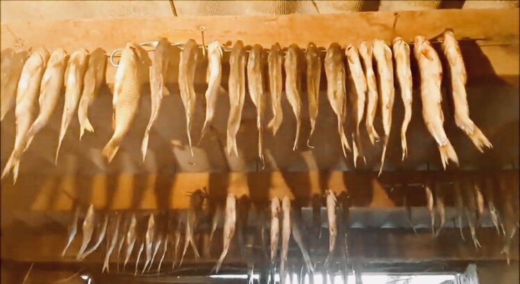 Вялим правильно. 