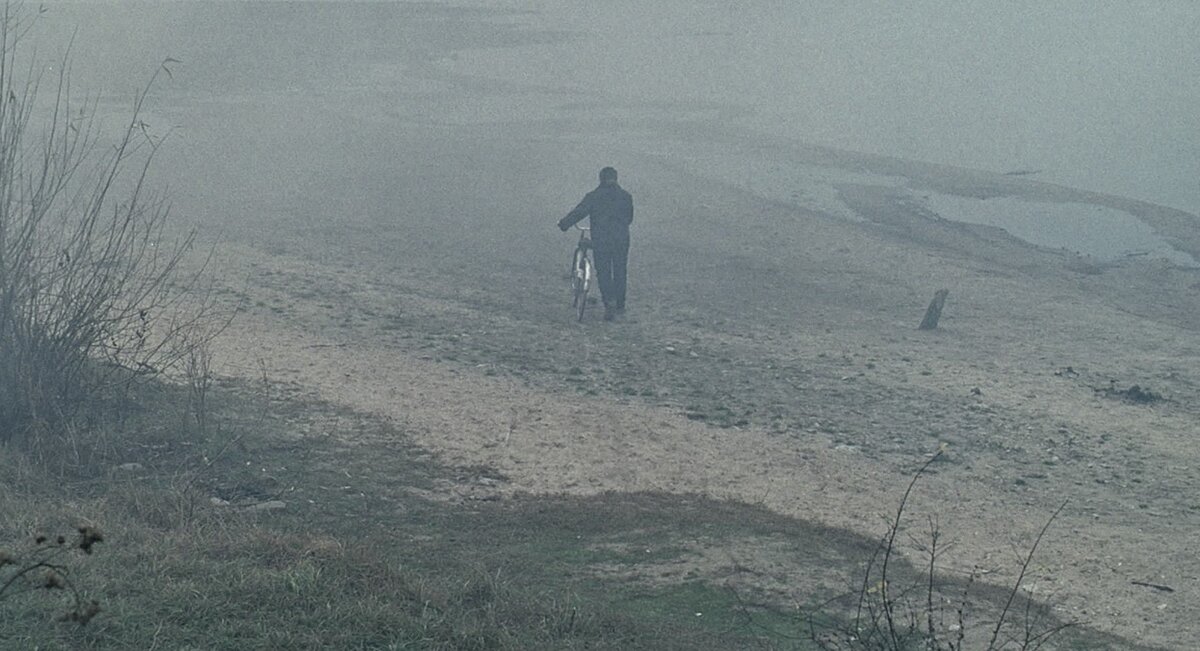 Кадр из свободных источников «Жить» (2012)