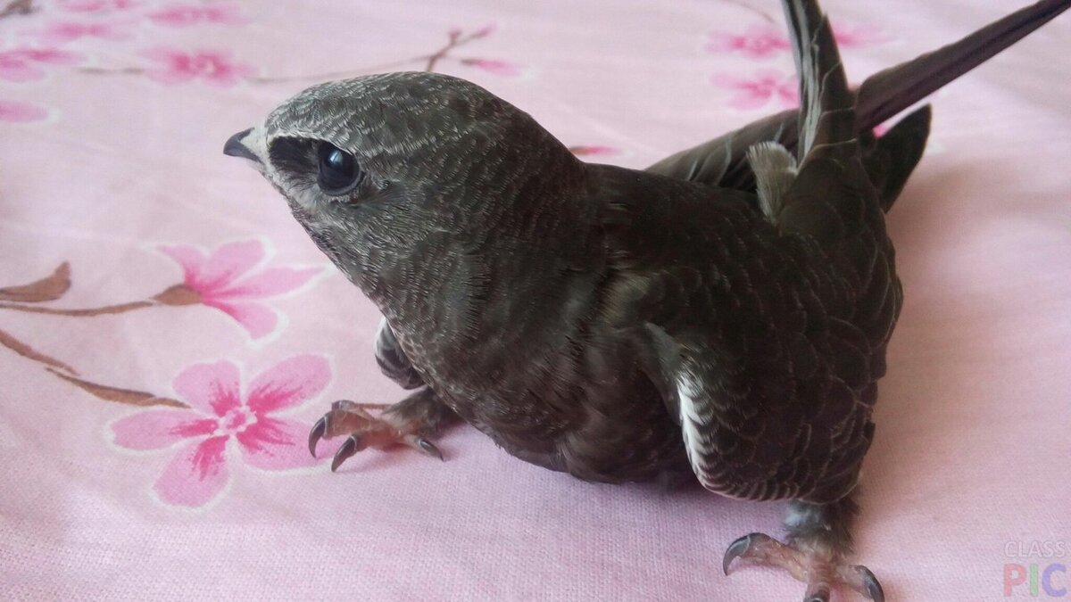 Фото Яндекс Картинки