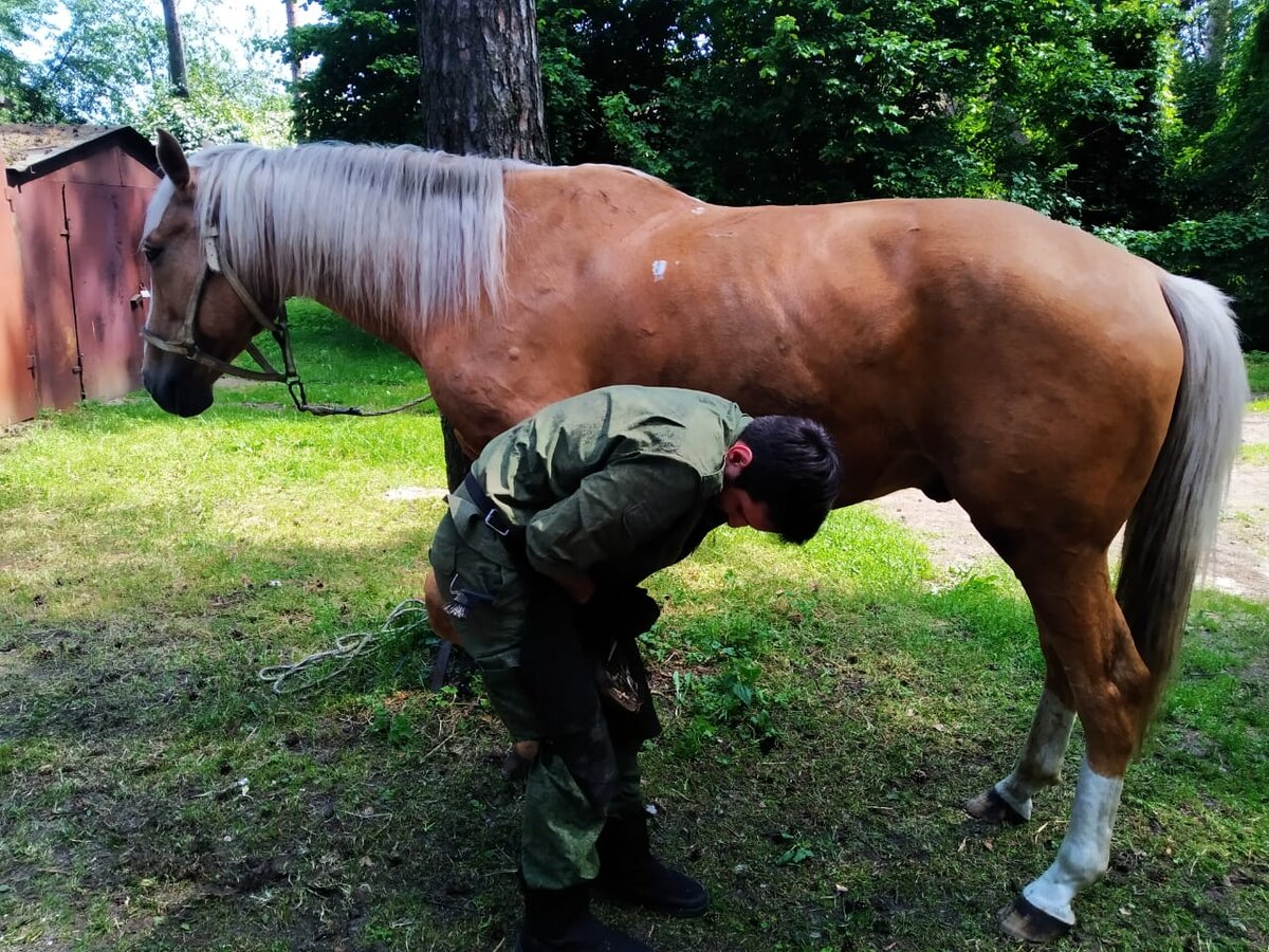 Фото из личного архива автора канала.