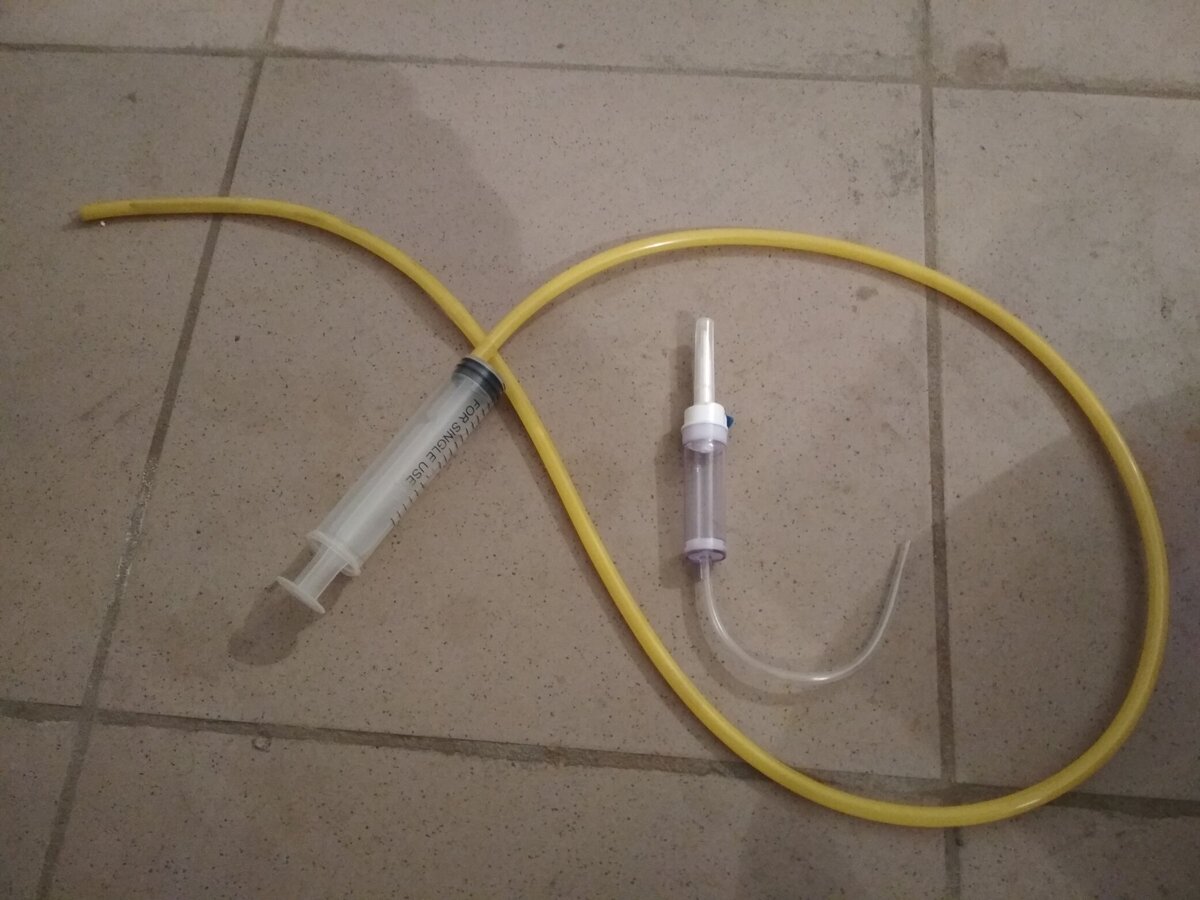 здесь и далее: фото из личного архива