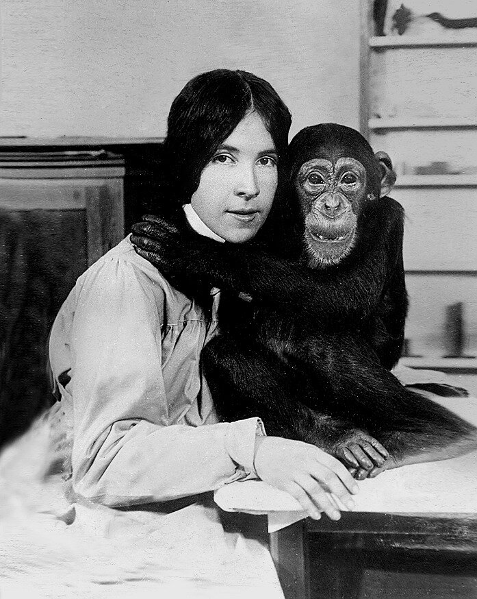 Источник :  oceanpenza.ru