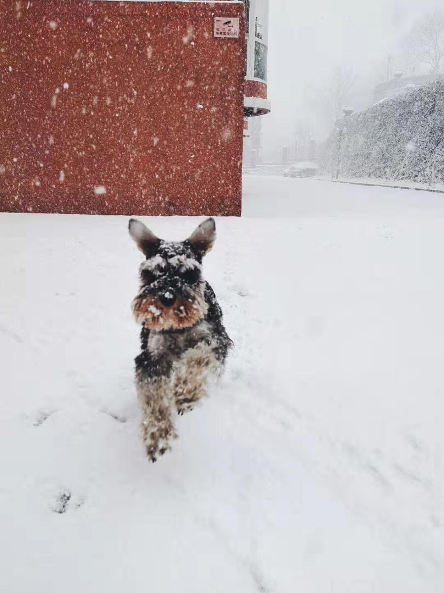 Кать, давай лепить кота!!!