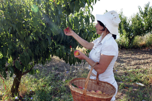 Фото: РИА Новости/Тарас Литвиненко