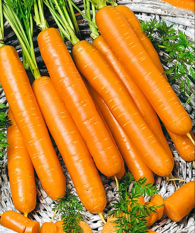 Марктгертнер