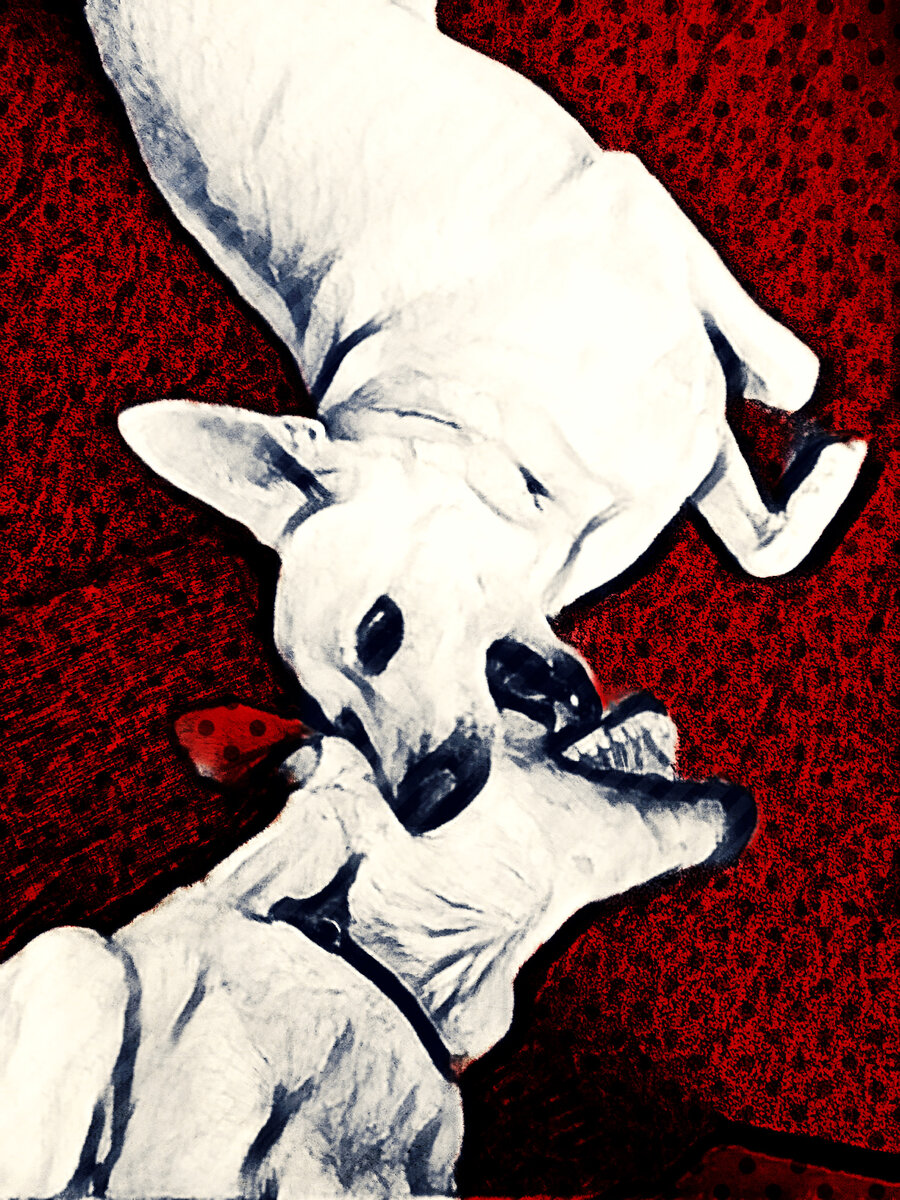 Джей и Лео, верные друзья... как оказалось