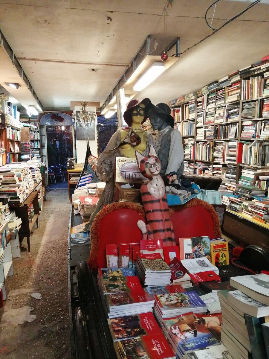 Гондола с книгами